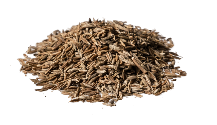 Cumin pasteurization using Revtech Process Systems