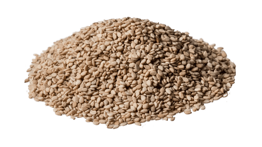 Pasteurized sesame with Revtech Process Systems