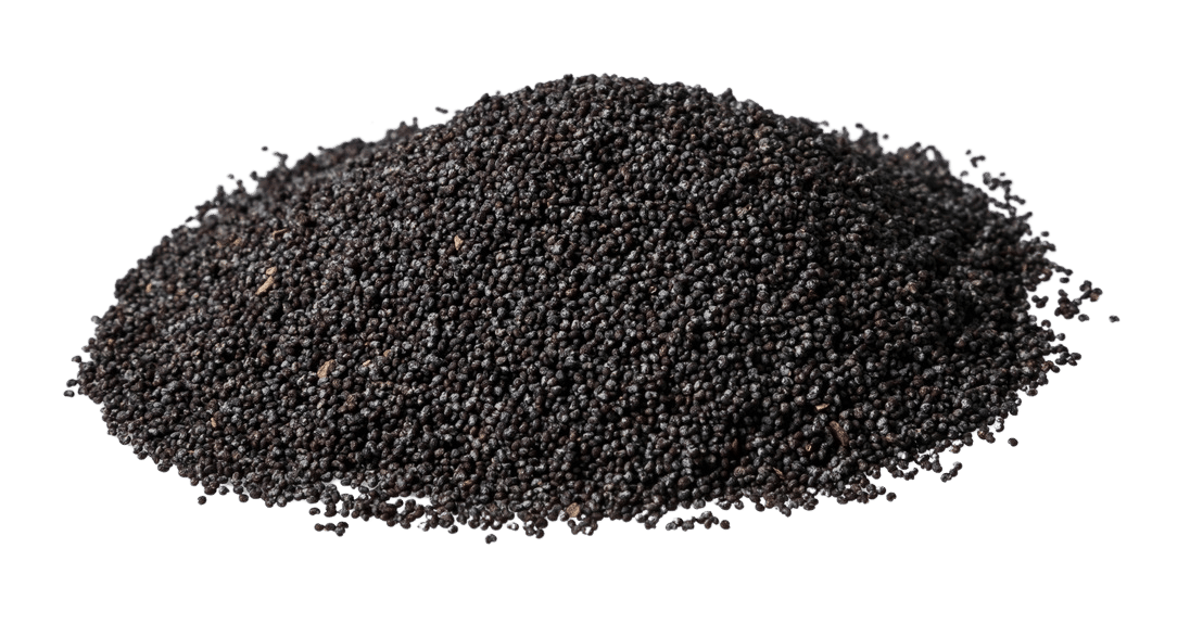 Poppy seeds pasteurized by Revtech