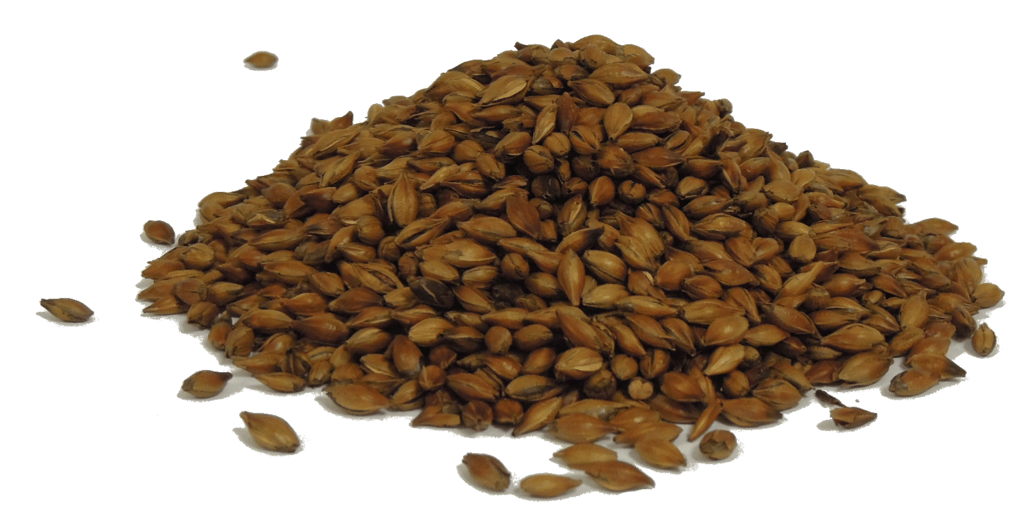 Roasted and stabilized barley